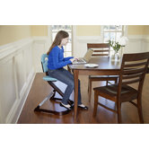Signet Essential High Chair