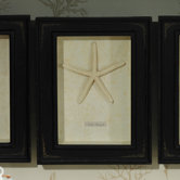 Diamond Reef Starfish Shadowbox
