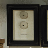 Sea Urchin Shadowbox