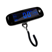 Touch Scale