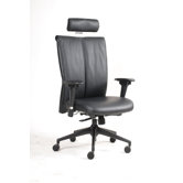Leather High-Back Executive Chair