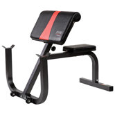 Preacher Curl Bench