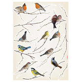 70 x 50cm Wandtattoo 'Vogerl' - 50 x 70 cm