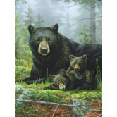 Hautman Bros Nap Time Bears Super Plush Throw
