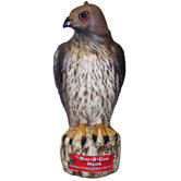 Hawk Decoy