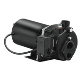 1/2 HP Cast-Iron Convertible Well Jet Pump