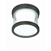 Gravity One Light Outdoor Wall / Ceiling Light