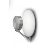 Ibis Flush Light in Satin Nickel