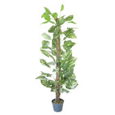Home Essence Statues & Figurines
