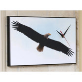 Souring Bald Eagle Wall Clock