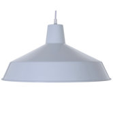 1 Light Pendant
