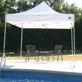 Festival Instant Canopy