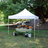 King Canopy Canopies,Tents & Awnings