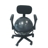 Adjustable Ball Chair with Back