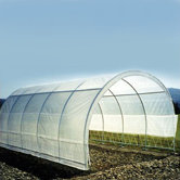 Weatherguard Commercial Greenhouse