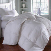 Astra  Innofil Comforter