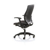 Executive Elastic Office Chair