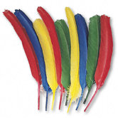 Quill Feathers, Assorted Colors, 24 Feathers per Pack