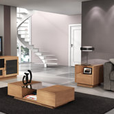 Contemporary Coffee Table Set