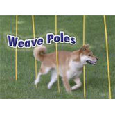 Dog Agility Starter Kit