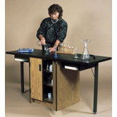 Science Workstation Table with Cupboard