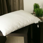Single Silk-Filled Pillow