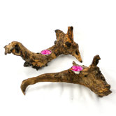 Jungle Driftwood Wood Tealight Holders (Set of 2)