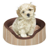 Nest Dog Beds