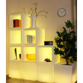 30W Circular Fluorescent Bulb