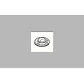 R4700 Roman Tub Hand Shower