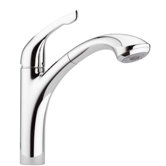 Single Handle Kitchen Faucet with Pull Out Spray