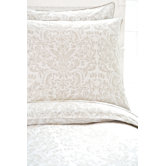 Genevieve Duvet Cover and Sham in Platinum