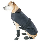 Belted Dog Coat in Black