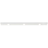 Cabinet Light