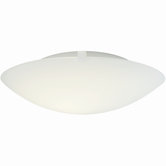 Standard Ceiling Flush Mount
