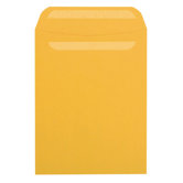 Sparco Plain Self-Sealing Kraft Envelopes, Kraft