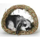 Woven Grass Hide A Way Hut