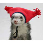 Tassel Hat