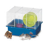Hamster Home One Story