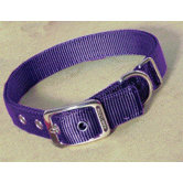 Double Thick Nylon Deluxe Dog Collar in Hot Purple