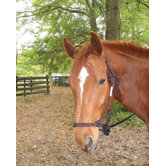 Rope Halter with Lead Adult Horse