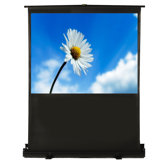 TheaterNow! Portable Screen HDTV (16:9) Format