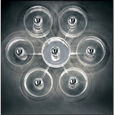 Fiore Seven Lights Wall / Ceiling Lamp