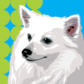 Pooch D&eacute;cor Spunky Spitz Portrait