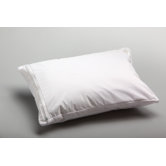 SecureTravel Pillow with Protector