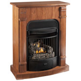 Windsor Four-in-One Dual Fuel Gas Fireplace