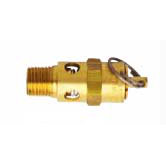 1/4 Npt 125 Psi Asme Saf Valve