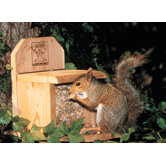 Combo Squirrel Feeder