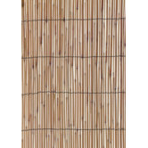 Reed Fencing