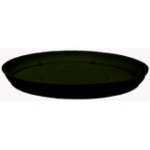 Marina Saucer